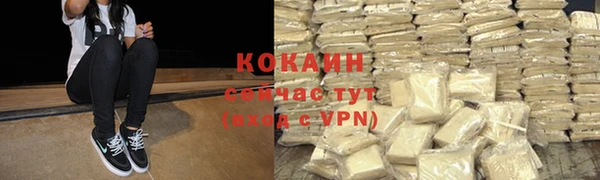 спайс Баксан