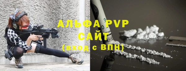 сатива Балахна