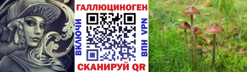 купить наркотики сайты  Хадыженск  Галлюциногенные грибы MAGIC MUSHROOMS 