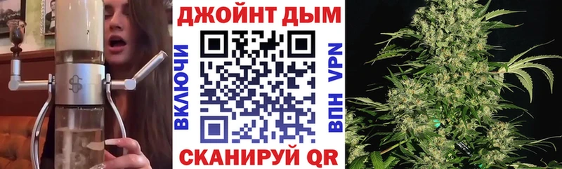 Бошки марихуана Amnesia  Хадыженск 